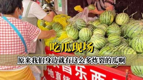 吃瓜吃到自己家原视频,一场意外的“瓜田”奇遇