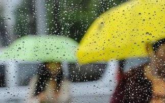 大风大雨吃瓜视频,吃瓜群众围观直播奇观