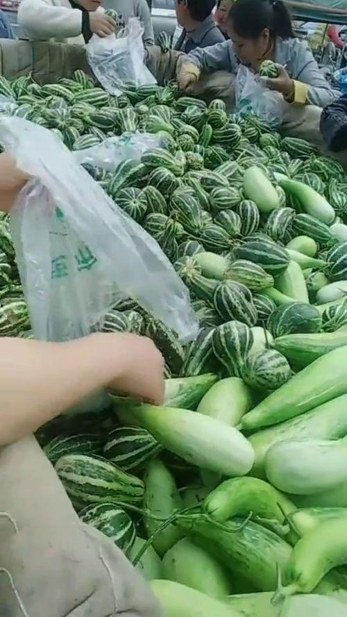 吃瓜视频哪里可以看到,吃瓜视频平台，带你轻松追踪热门事件