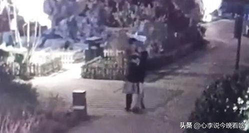 介休吃瓜最新事件视频完整版,完整版视频曝光，真相大白