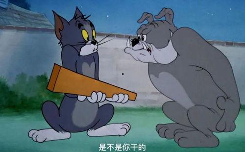 摄影师杰瑞吃瓜视频,揭秘摄影师的独特视角与趣味瞬间