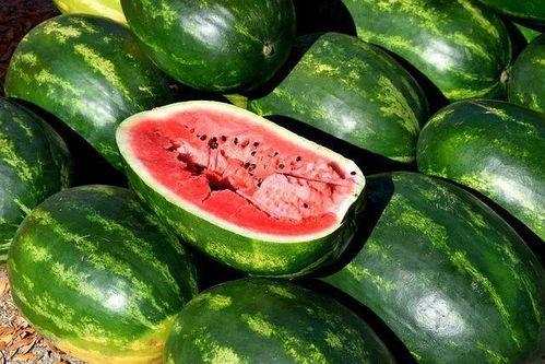 情侣吃红瓜视频下载,情侣共品红瓜，温馨视频甜蜜分享