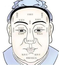 王婆吃瓜的面相图解视频,图解视频深度解析