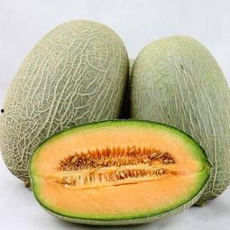 白鹿吃哈密瓜视频大全集,甜蜜互动大盘点