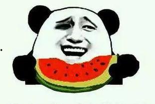 清凉吃瓜搞笑视频合集大全,搞笑视频合集大盘点