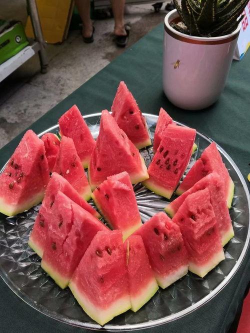 宁夏吃瓜事件真相视频