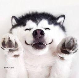 吃瓜视频群众可爱,可爱吃瓜群众演绎欢乐时光