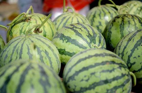 厦门新农人吃瓜视频播放,田园生活趣味横生